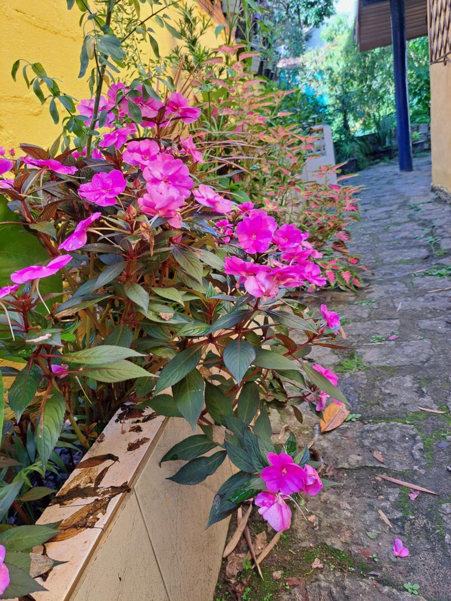 Casa Ilhabela Entre A Praia Grande & Juliao Ruang foto